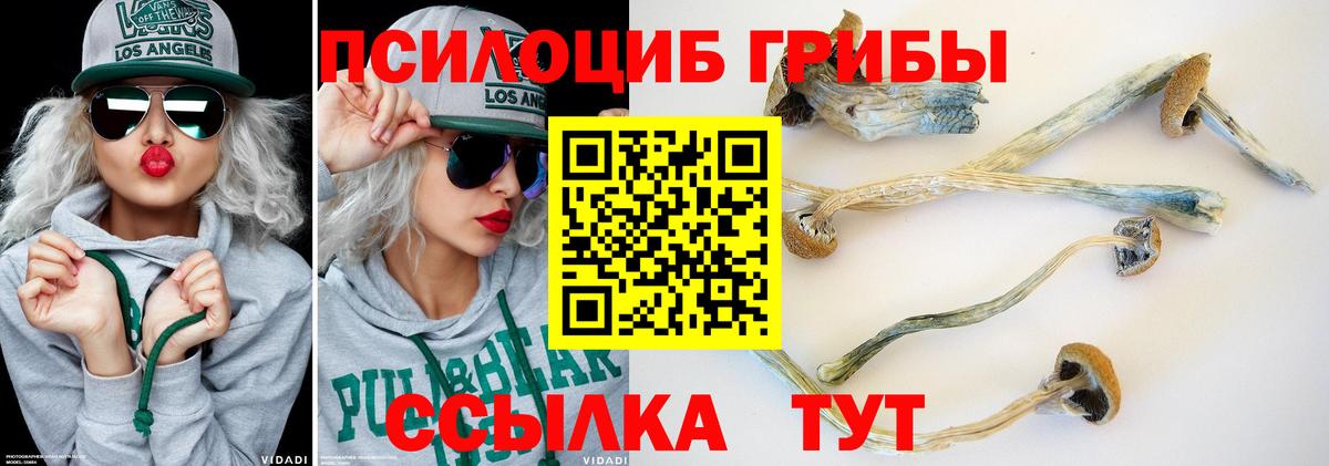наркота  Галлюциногенные грибы Magic Shrooms  Вход с VPN  Псилоцибиновые грибы мухоморы  Лабинск 